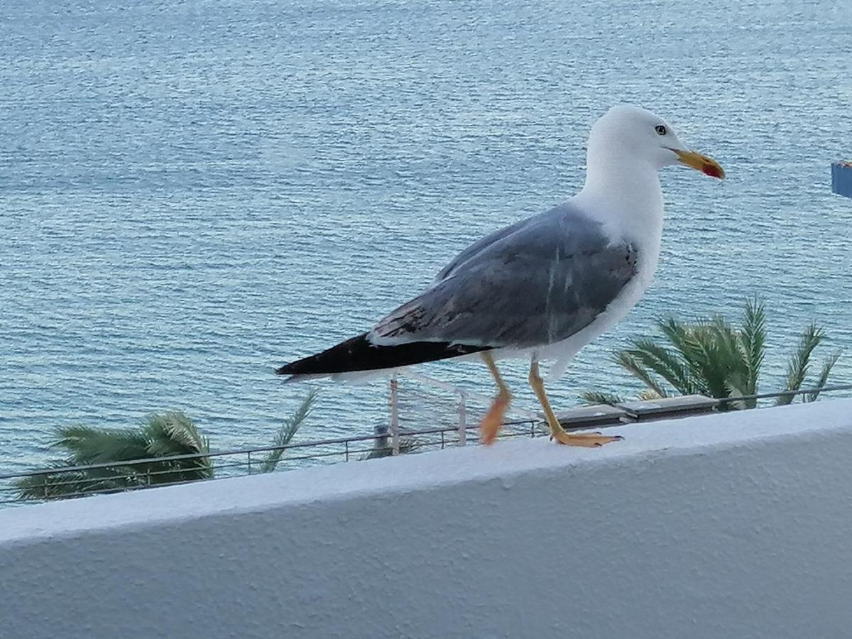 Sol, Mar E Praia 塞辛布拉 外观 照片